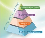 Nutrition Supplement Pyramid