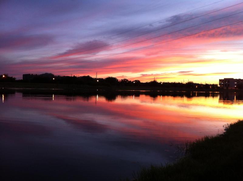 BEAUTIFUL view from the back of the building!